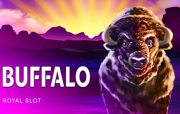 Buffalo