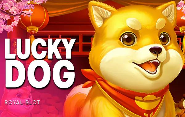Lucky Dog