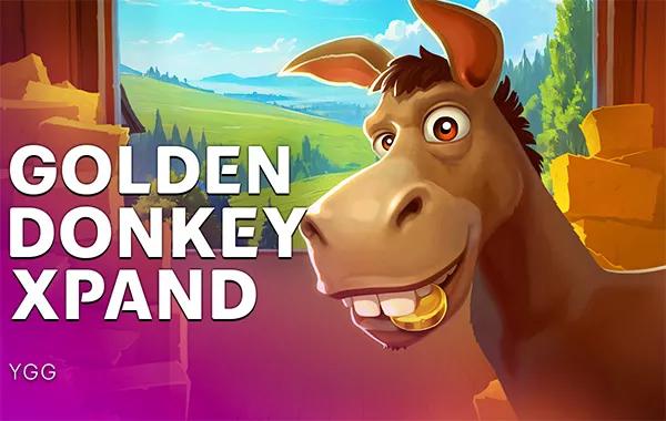 Golden Donkey Xpand